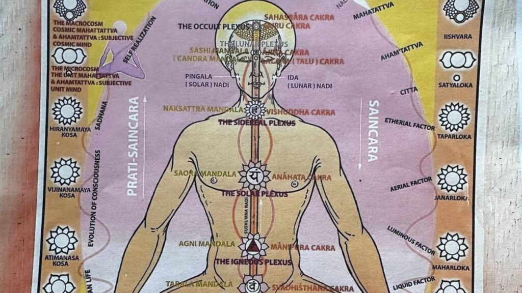 Ведична література